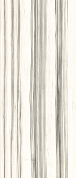 AE ZEB6 260 LP.jpg